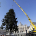 Cây Thông Noel Cao 21m Ở Vatican